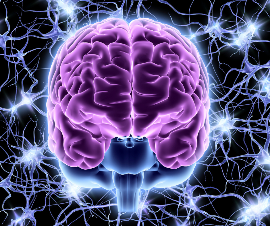 Neural networks: future or present